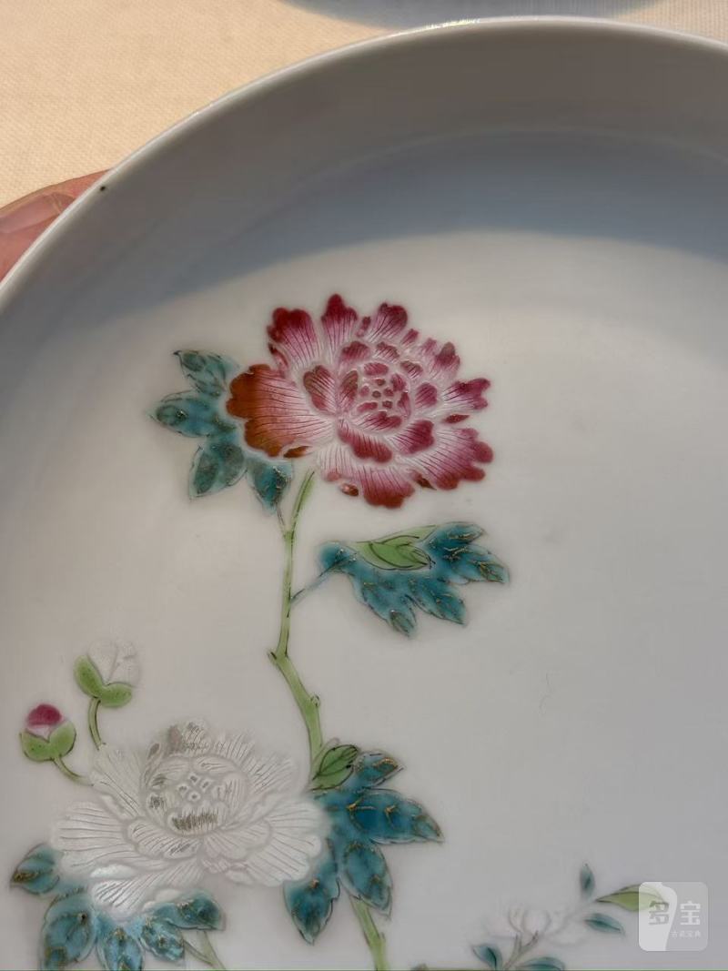 清雍正 粉彩花卉纹盘(一对) - 图5